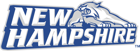 New Hampshire Wildcats 2000-Pres Alternate Logo t shirts DIY iron ons